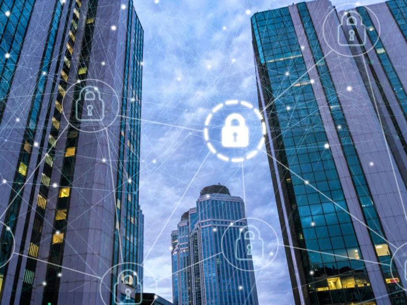 Cybersource payments form wordpress plugin (3)