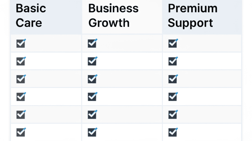 A comparison chart of three different web maintenance packages for small businesses.