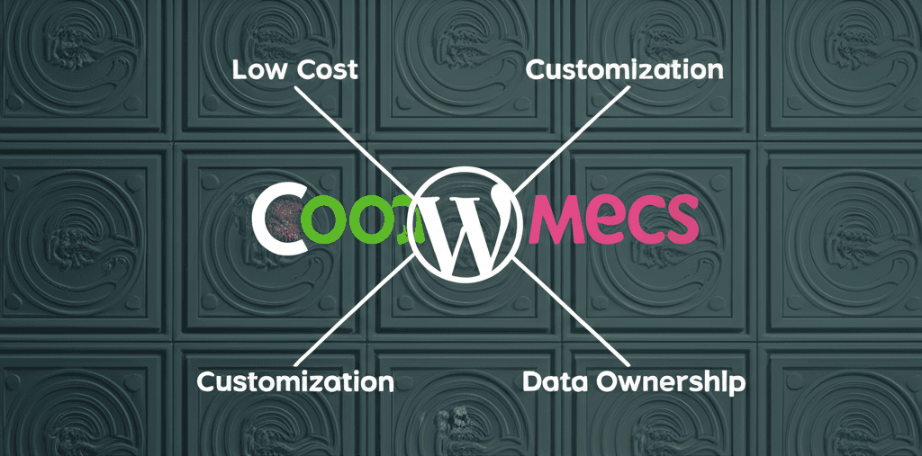 Infographic showing the key benefits of WooCommerce for Gampaha businesses.