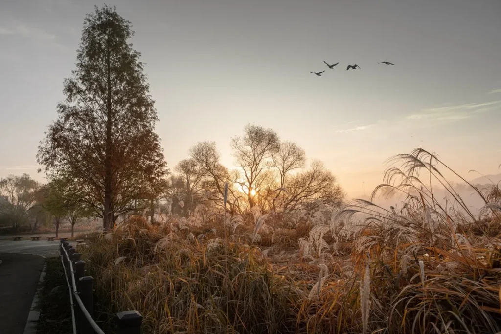 graph showing trends in website visitor behavior