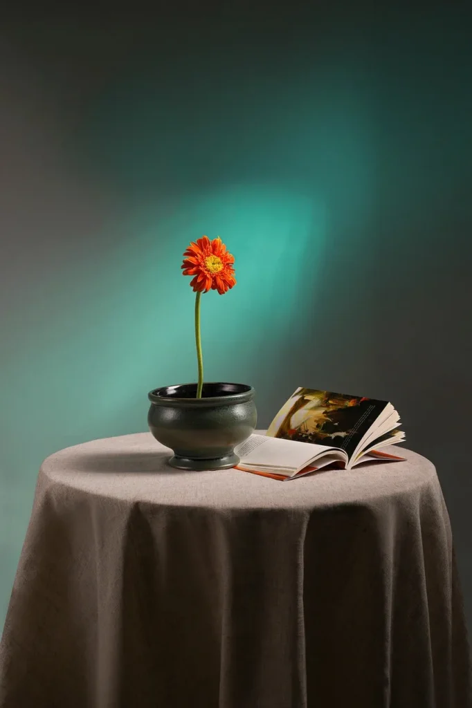 WordPress multisite vs single site comparison table